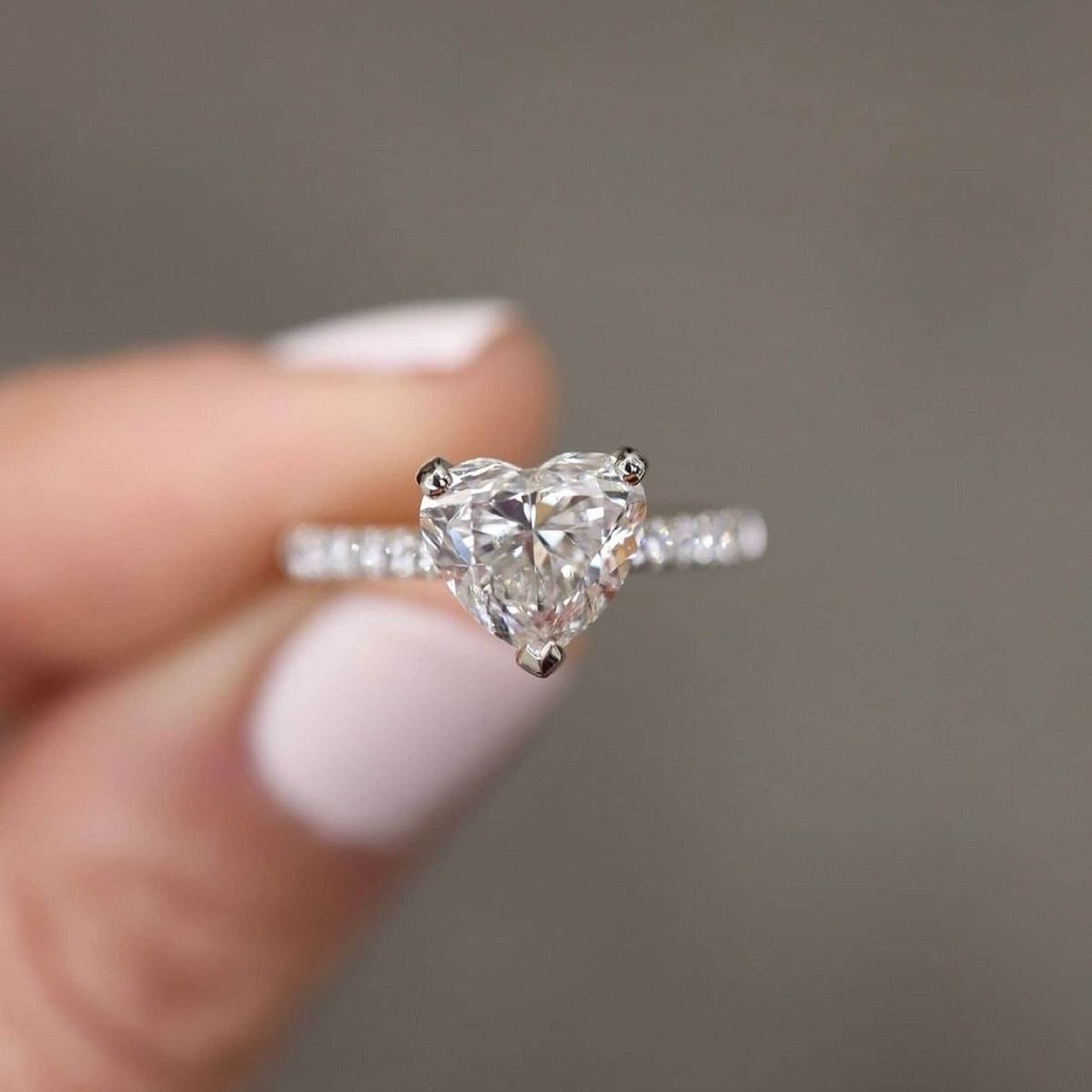 Catalogue Ring Design 116