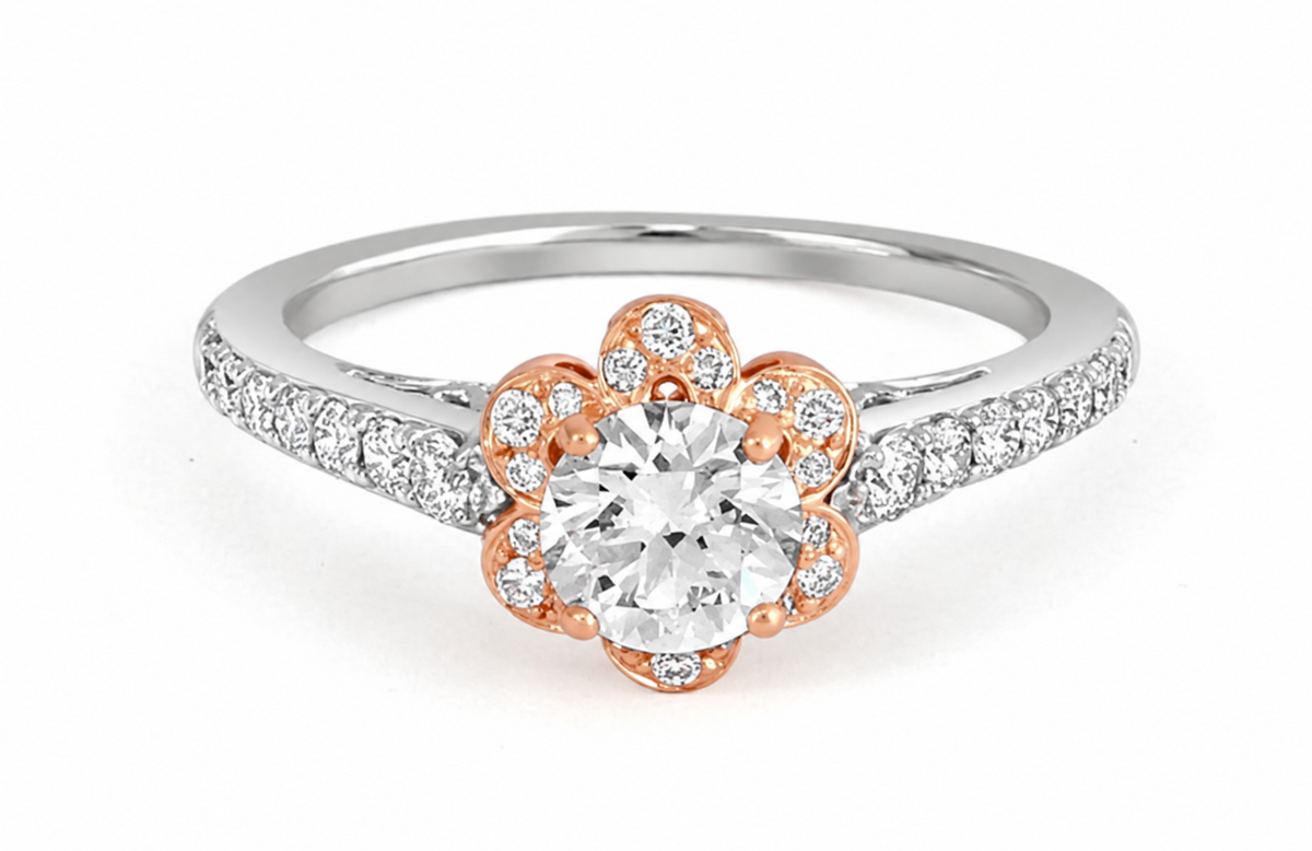 Rounded rose-coloured petals form a floral frame around a clear centre.