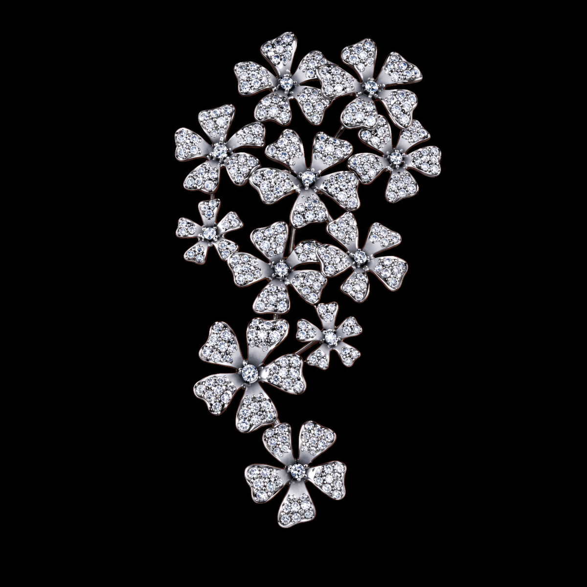 Small sparkling five-petal flowers form an elongated cascading floral spray.