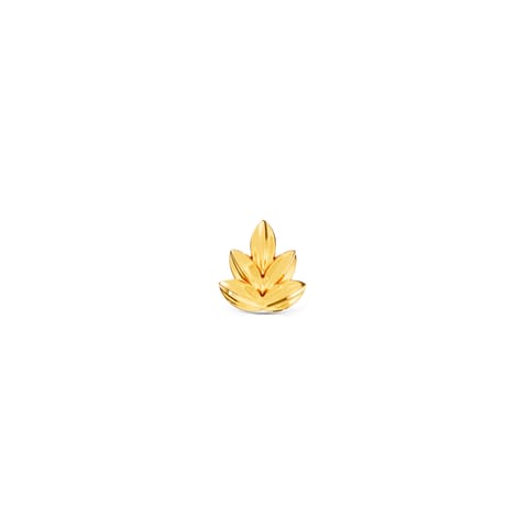 Golden Frond Nose Pin