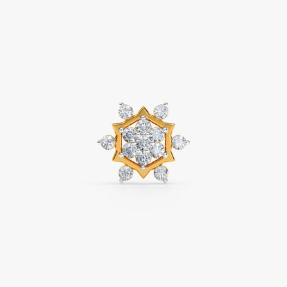 Astral Garden Nose Pin