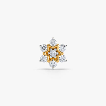 Astral Garden Nose Pin