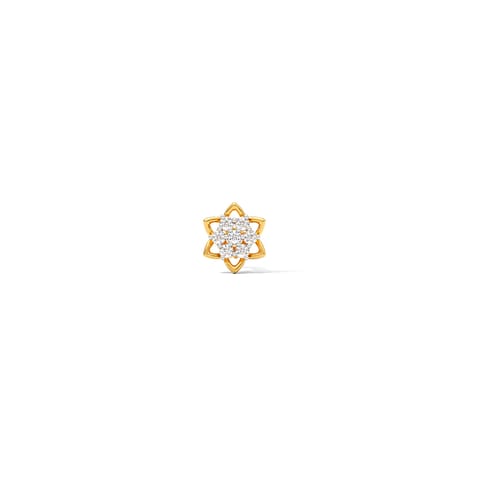 Astral Garden Nose Pin