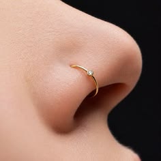 Solstice Arc Nose Pin