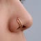 Whispering Arc Nose Pin
