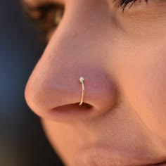 Solstice Arc Nose Pin