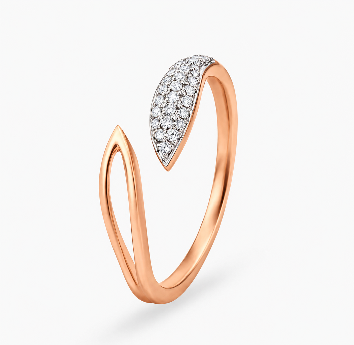 A sparkling leaf and an open leaf outline face each other on a slender rose-coloured band.